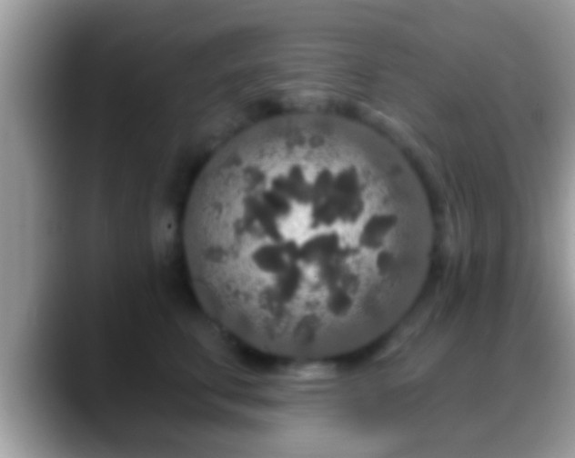 X0000088630711200706011145