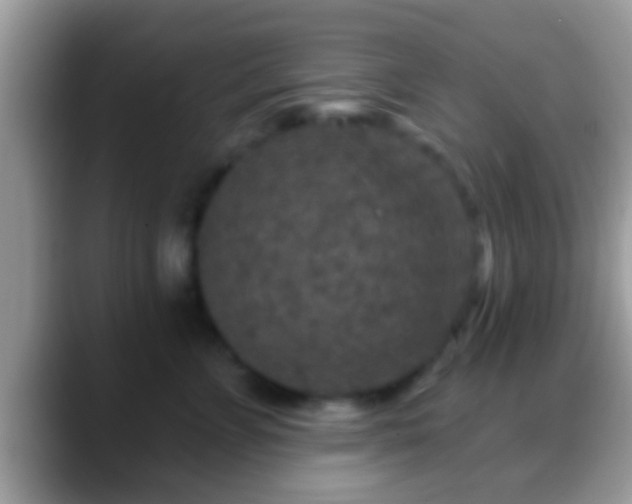 X0000088630715200706011144