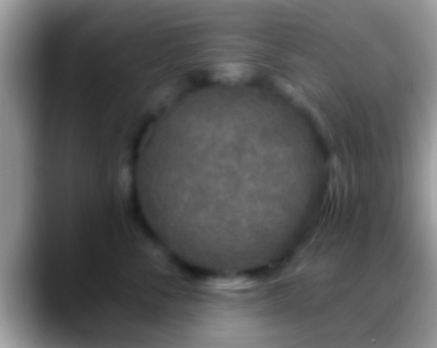 X0000088630716200706011144