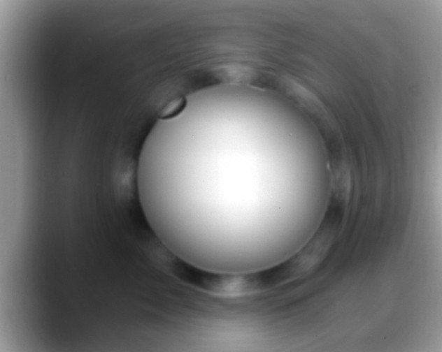 X0000088630717200706011144