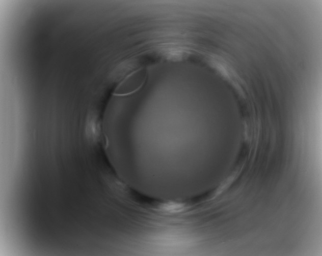 X0000088630718200706011144