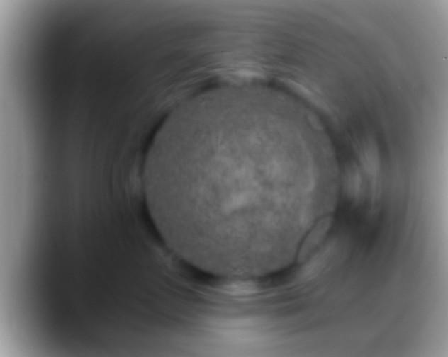 X0000088630719200706011144