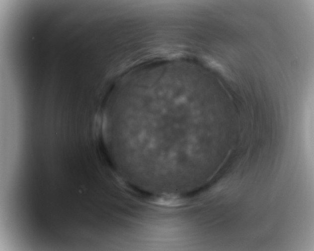 X0000088630720200706011144