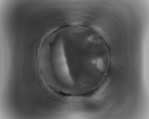 X0000088630721200706011144