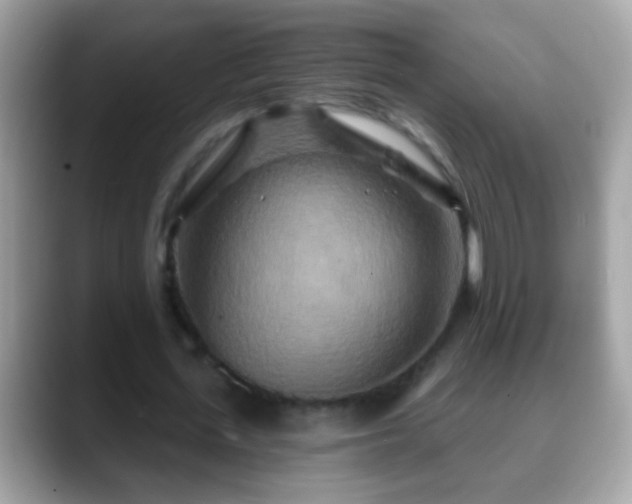 X0000088630723200706011144