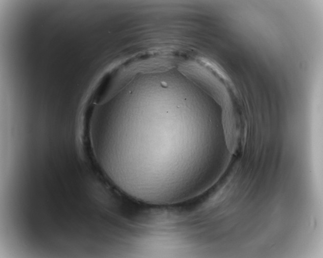 X0000088630724200706011144