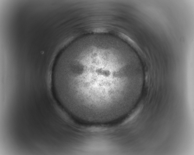 X0000088630725200706011144