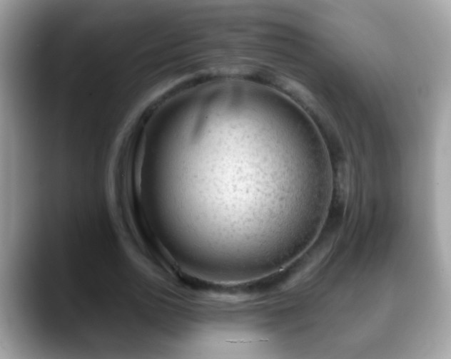 X0000088630726200706011144