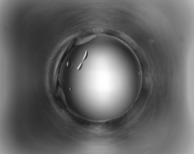 X0000088630728200706011144