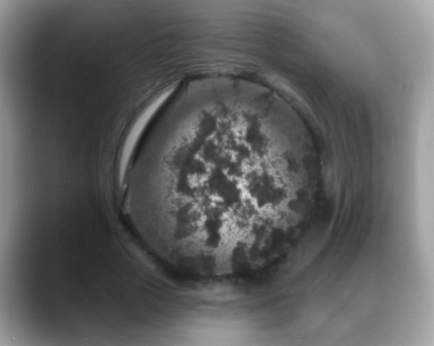 X0000088630729200706011144