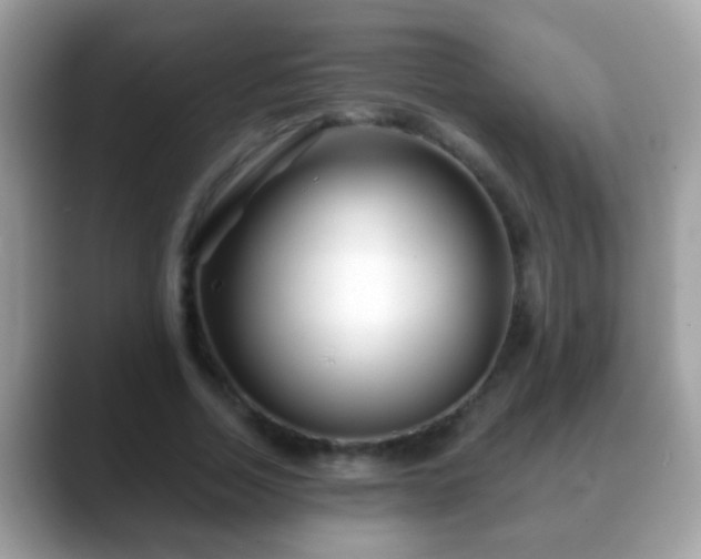 X0000088630730200706011144