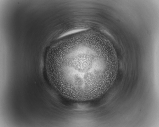 X0000088630733200706011144