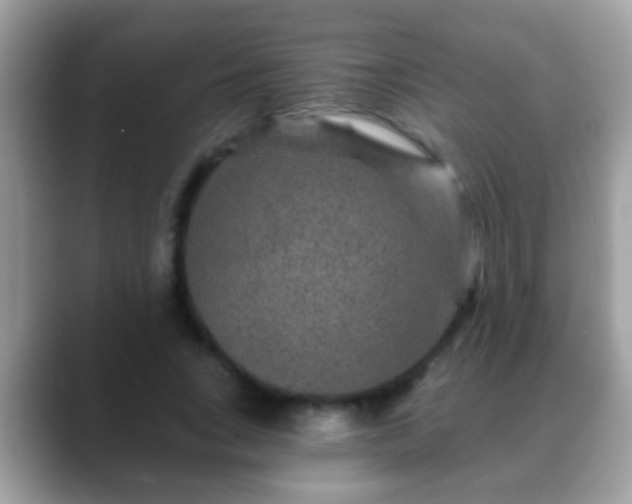 X0000088630735200706011144