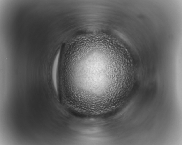 X0000088630737200706011144