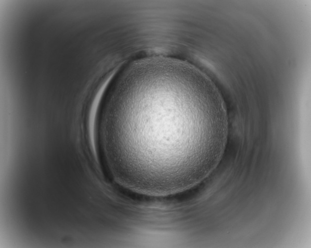 X0000088630738200706011144