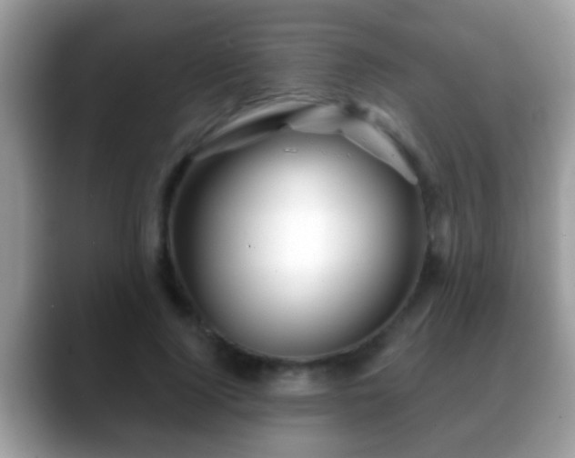 X0000088630740200706011144