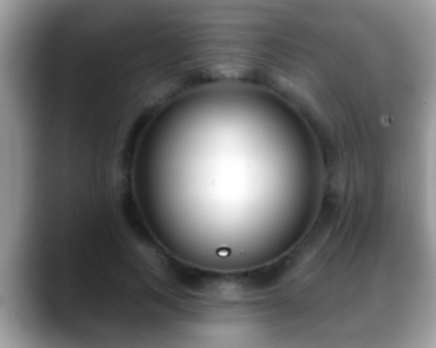 X0000088630743200706011144