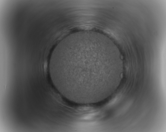 X0000088630745200706011144