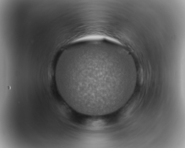 X0000088630747200706011144