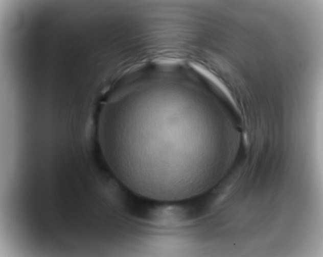 X0000088630748200706011144