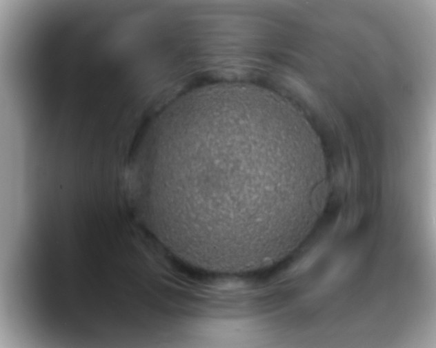 X0000088630749200706011144