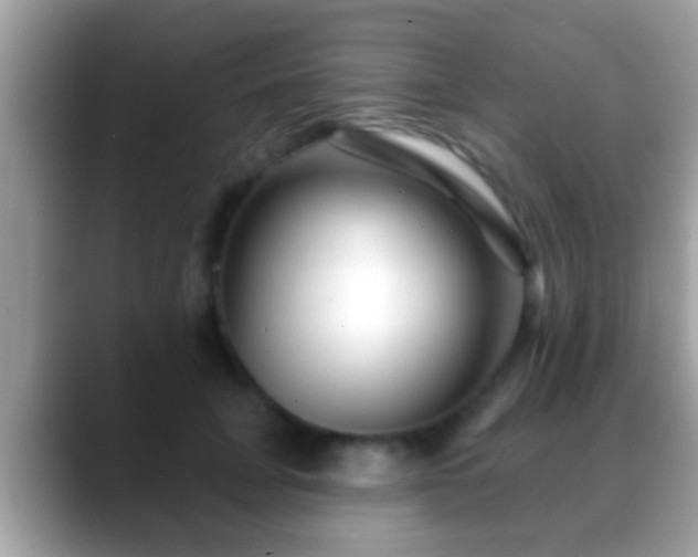 X0000088630751200706011144