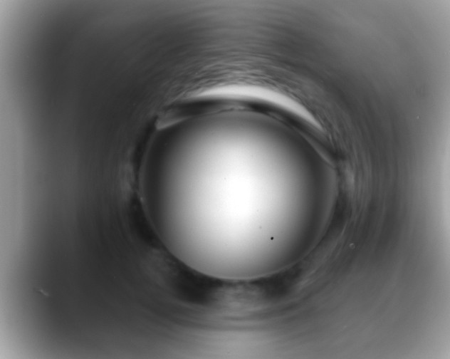 X0000088630752200706011144