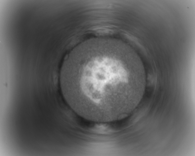 X0000088630753200706011144