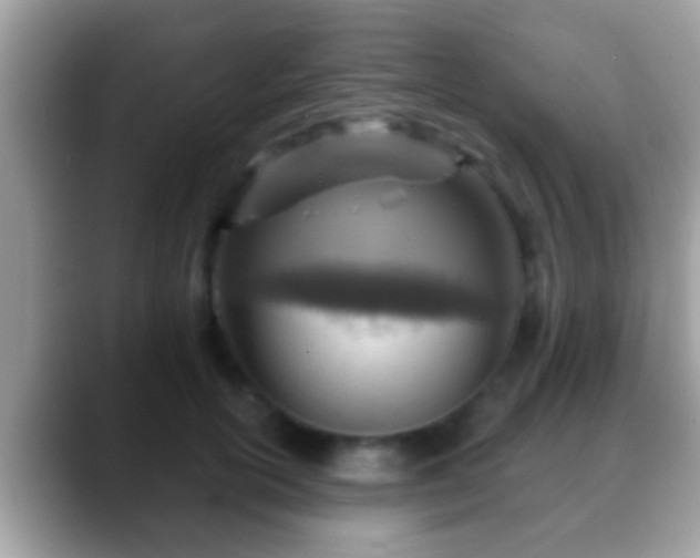 X0000088630754200706011144