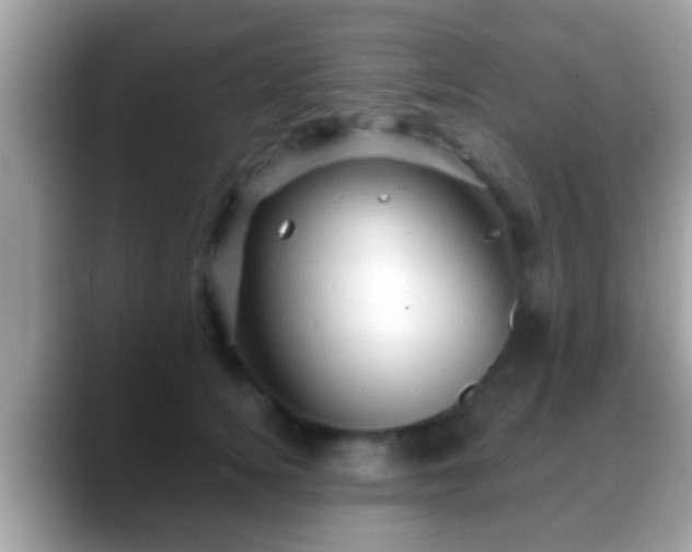 X0000088630756200706011144