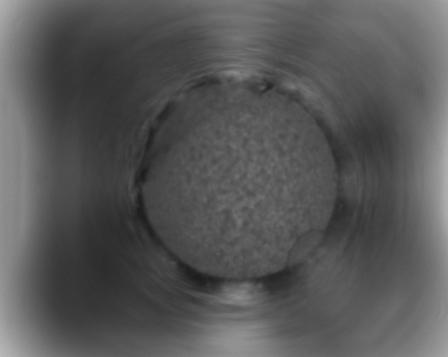 X0000088630757200706011144