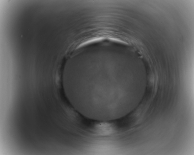 X0000088630759200706011144