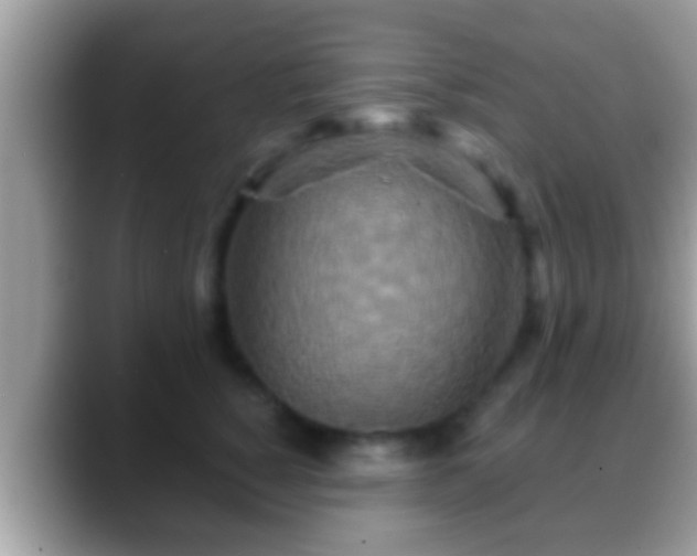 X0000088630760200706011144