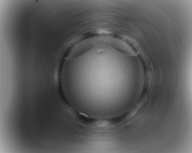 X0000088630762200706011144