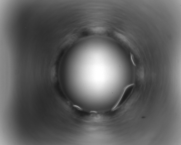 X0000088630764200706011144