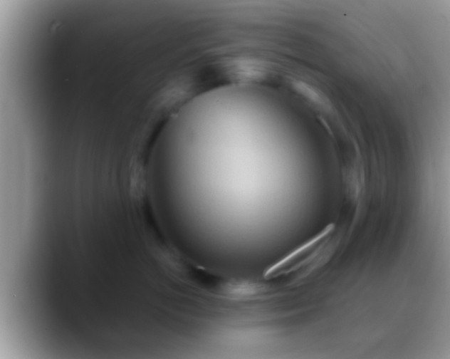 X0000088630766200706011144