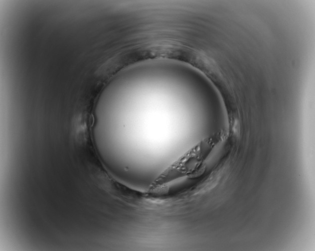 X0000088630771200706011144