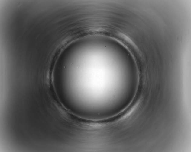 X0000088630777200706011144