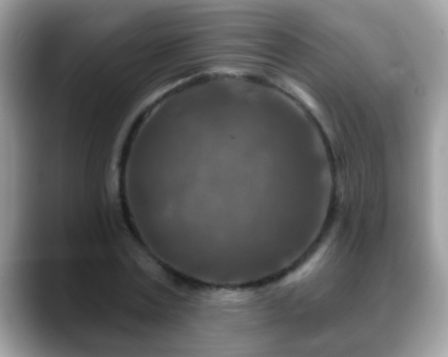 X0000088630779200706011144