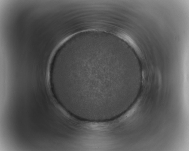 X0000088630780200706011144