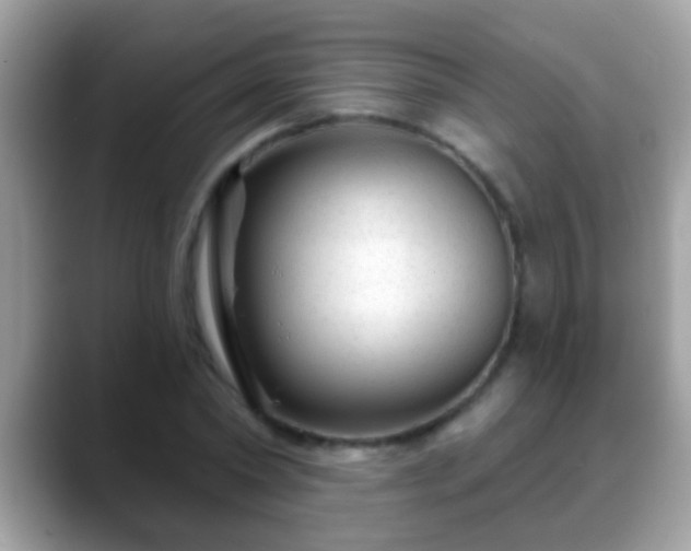 X0000088630782200706011144