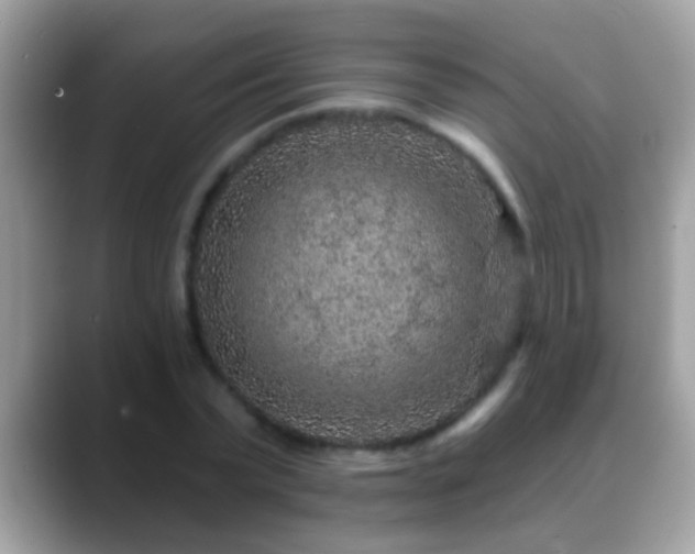 X0000088630783200706011144