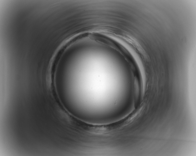 X0000088630784200706011144