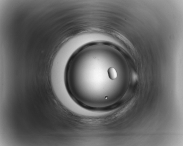 X0000088630785200706011144