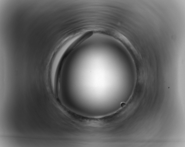 X0000088630786200706011144