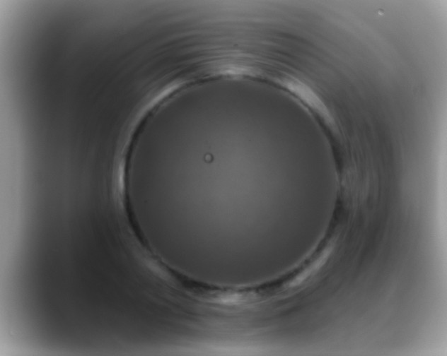 X0000088630790200706011144