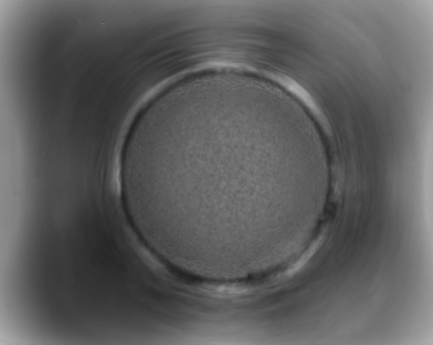 X0000088630791200706011144