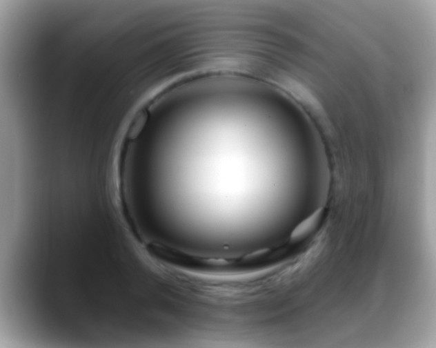 X0000088630792200706011144