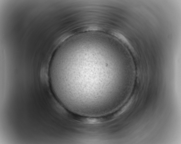 X0000088630794200706011144