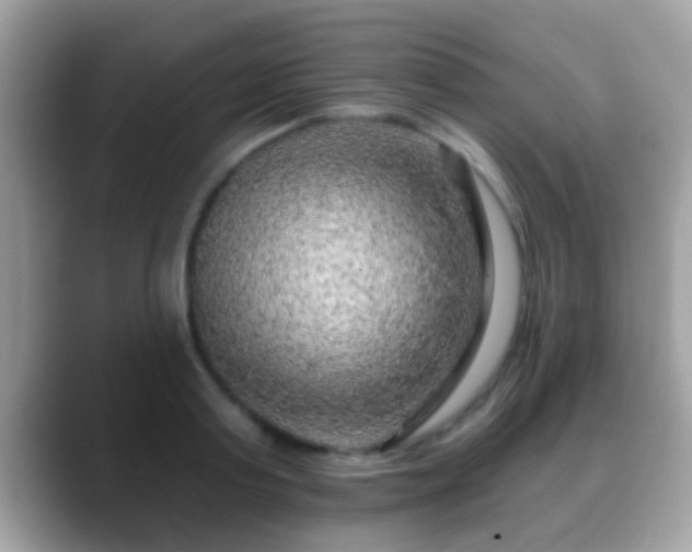 X0000088630795200706011144